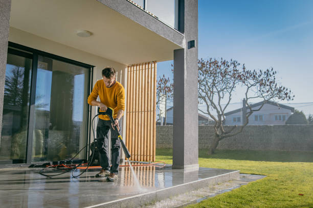 Best Gutter Cleaning  in Tonopah, NV