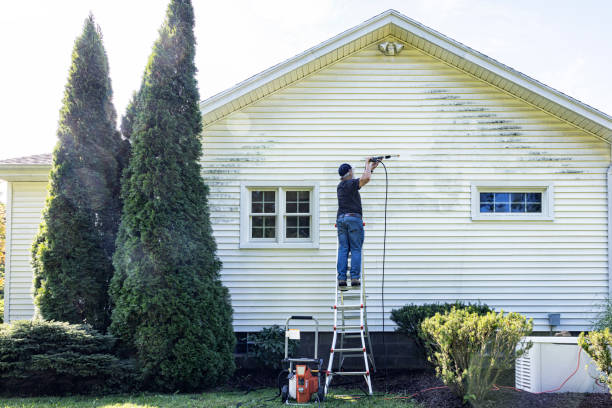 Best House Exterior Washing  in Tonopah, NV